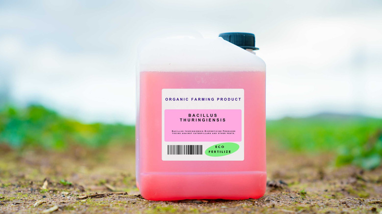 A large bottle of bacillus thuringiensis on the ground