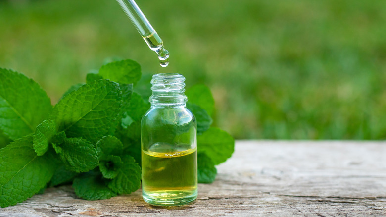 A small bottle of peppermint essential oil with a dropper in front of fresh mint leaves