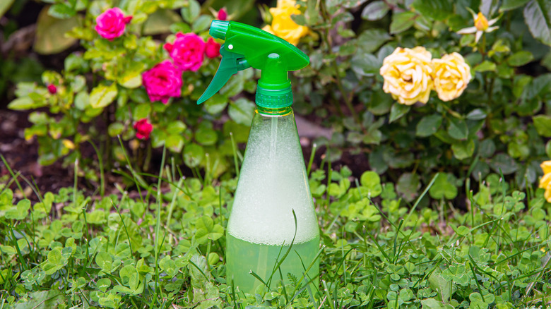 A spray bottle containing a soap and water solution on the grass in front of flowers