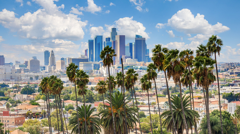 Los angeles skyline and palm trees