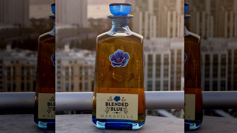 Bottle of Maravilla tequila with a cityscape background