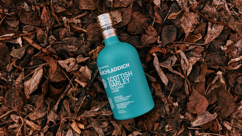 Top-down shot of a bottle of Bruichladdich The Classic Laddie resting on old leaves