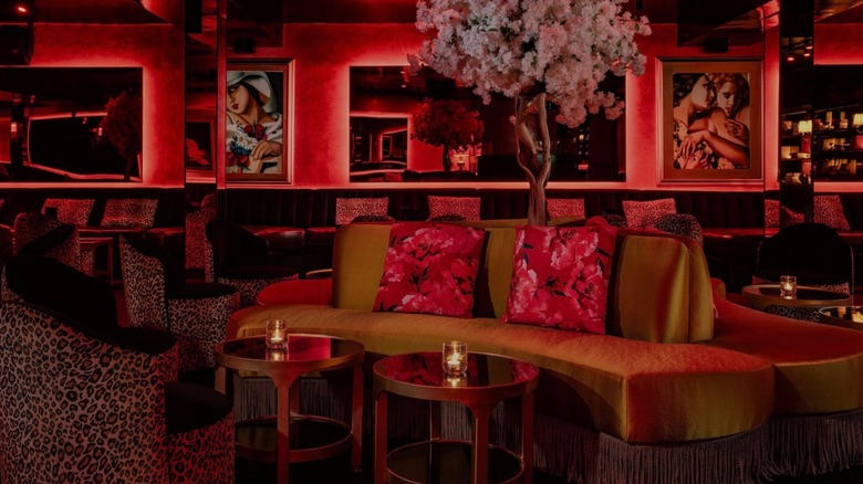 Lounge with sofas, leopard print carpet, and dark red lighting