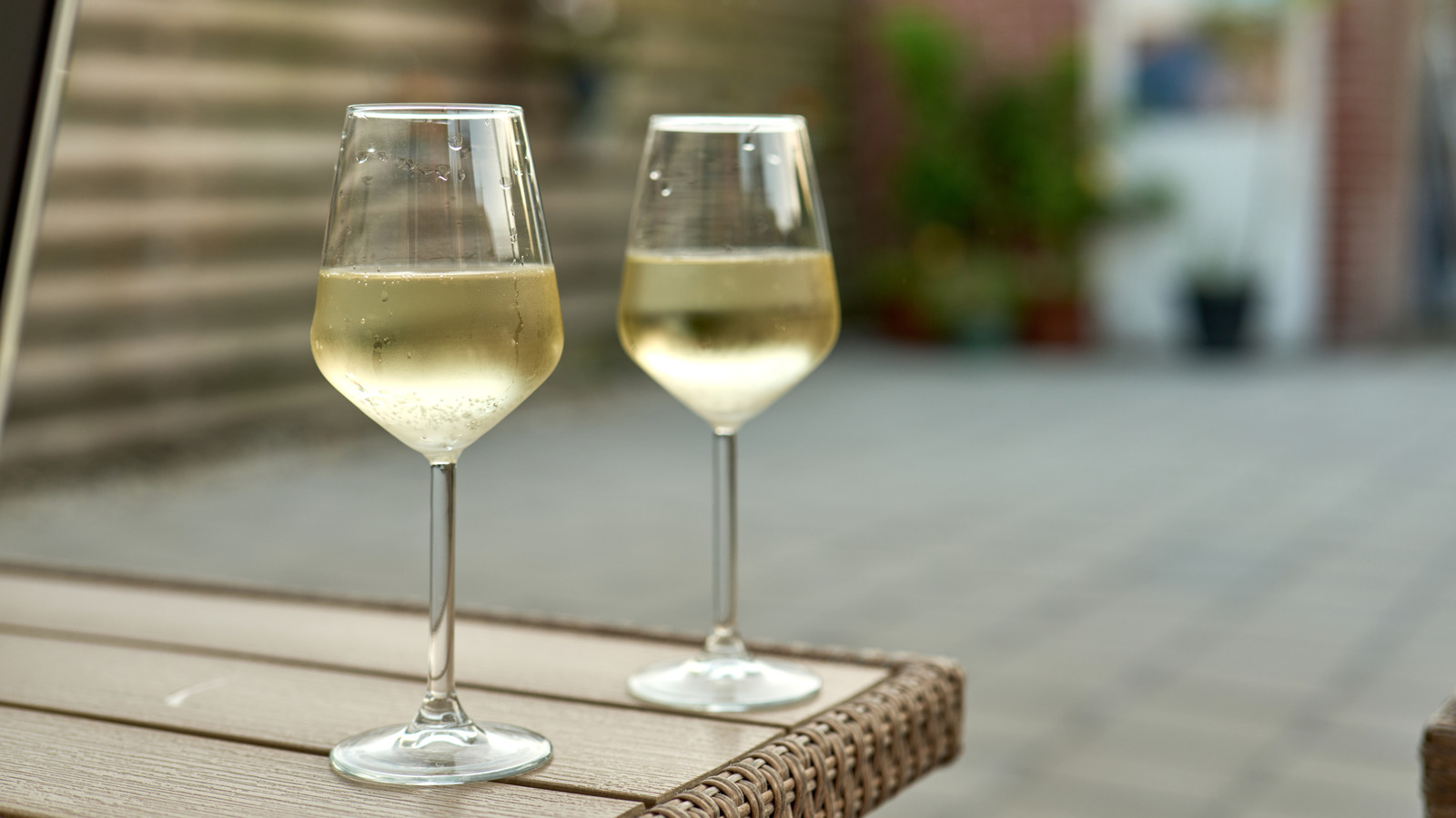 The 9 Best Pinot Grigios For Beginners
