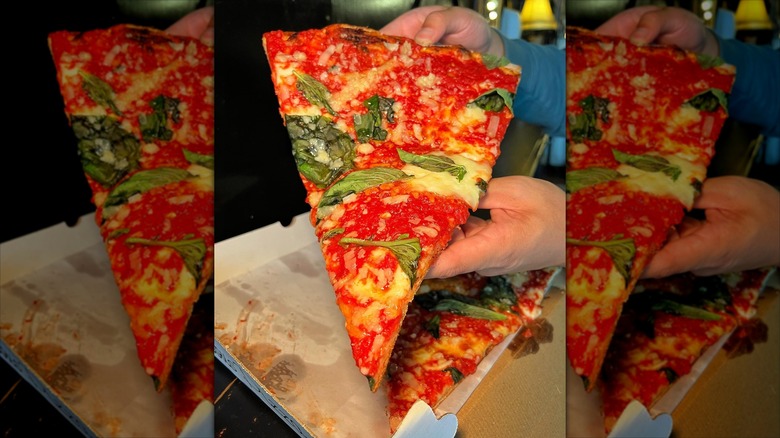 slice of margherita pizza