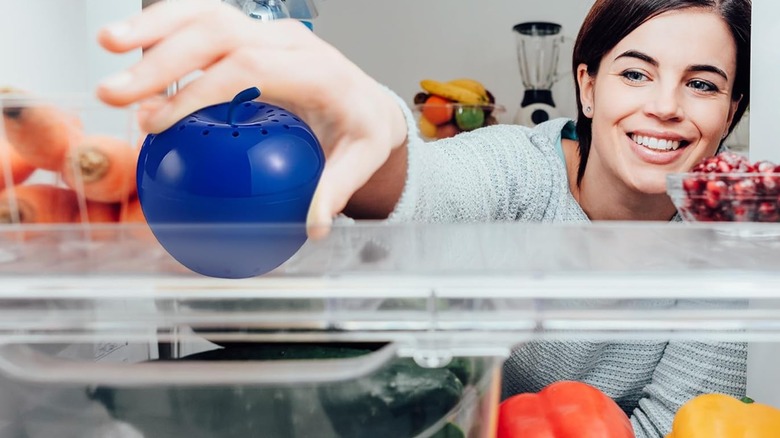 A woman placing a Bluapple Produce Saver in the fridge