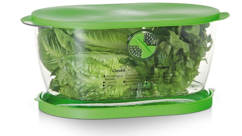 A Progressive International Lettuce Keeper