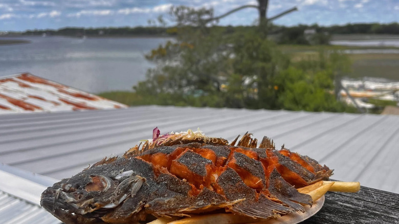 Wild, whole flounder with views of the creek in the background
