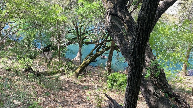 View from the Gristmill River Restaurant and Bar