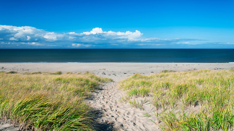 Cape Cod National Seashore