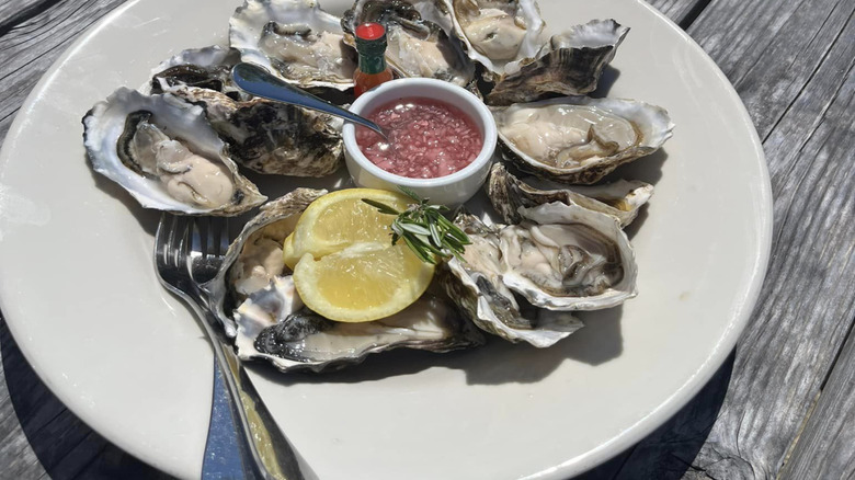 plate of fresh oysters