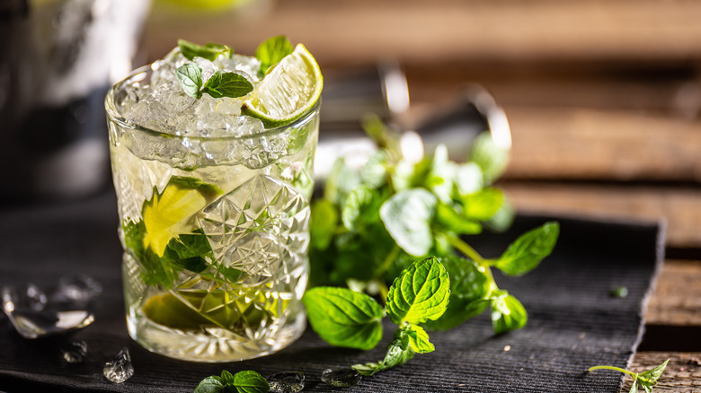 mojito in glass