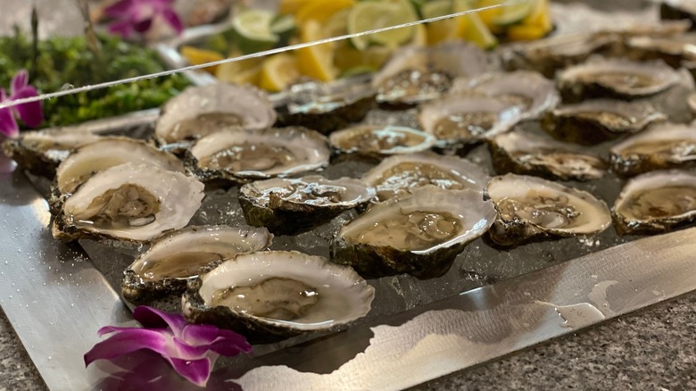 Fresh oysters on display at The Nordic