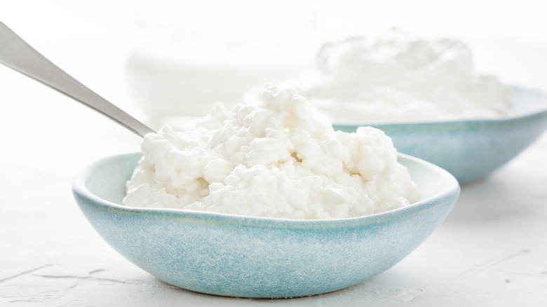 Blue bowls filled with cottage cheese