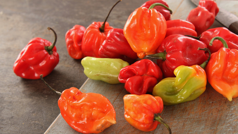 variety of Scotch Bonnet peppers