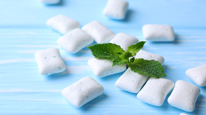 pieces of mint gum with mint leaf on blue surface