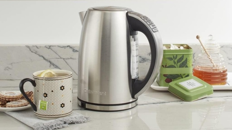 Cuisinart Stainless Electric Kettle