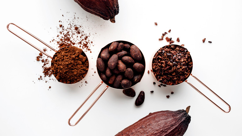 cocoa powder and cocoa nibs