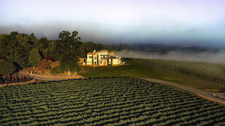 Aerial view of vineyards surrounding an Italian-style villa as fog lifts.