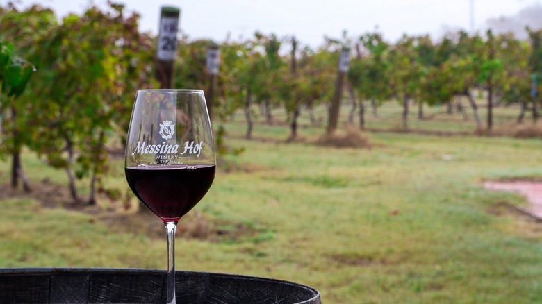 Messina Hof branded glass half filled with deep red wine, placed on a barrel in the vineyards.