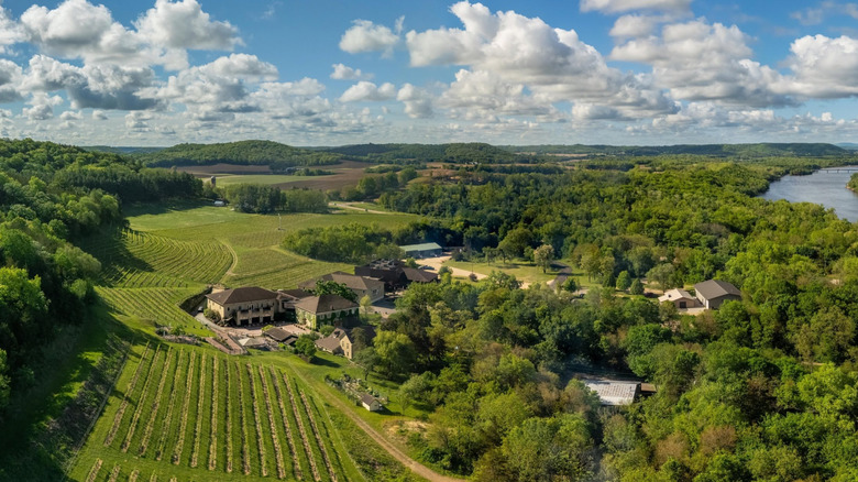 Aerial view of estate surrounded by terraced vineyards and lush, green trees leading to Wisconsin River.