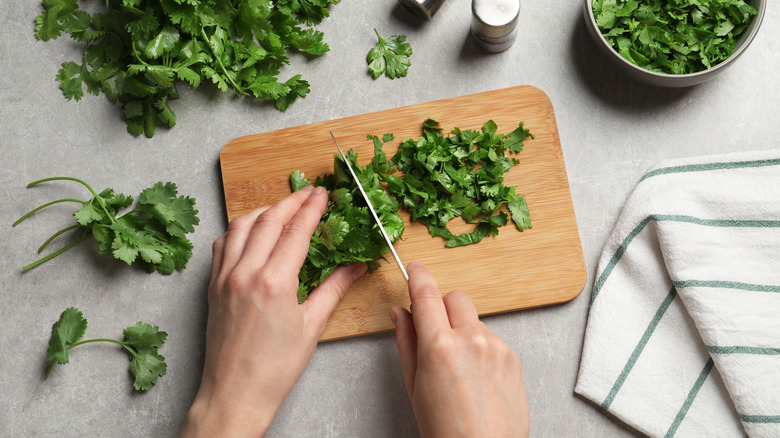 Chopping fresh cilantro on wooden cutting board