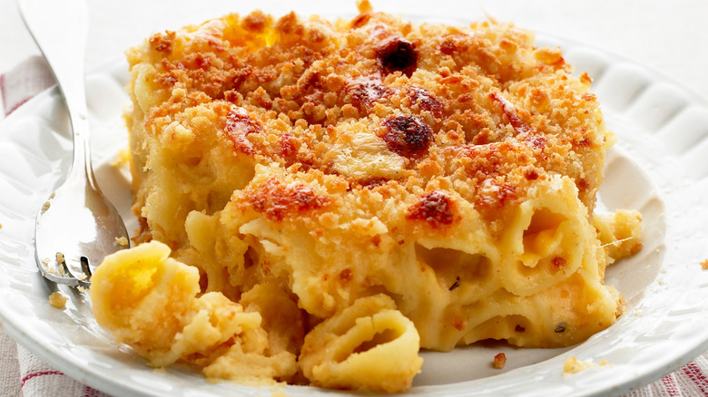 A plate of orecchiette mac and cheese