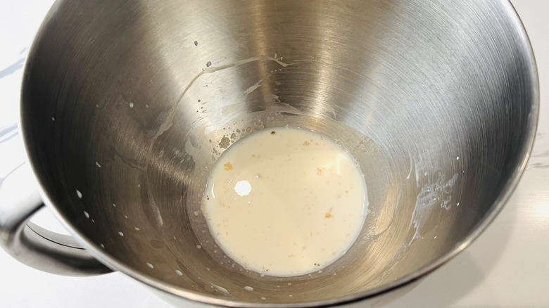 Yeast mixture in bowl