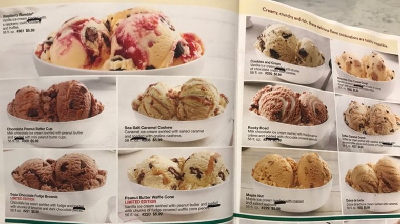 Pages from a Schwan's order catalog with various ice cream choices