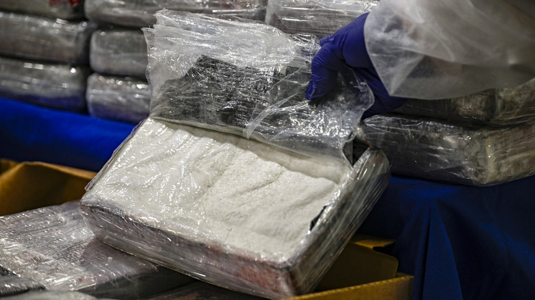 Gloved police hand opens impounded package of cocaine