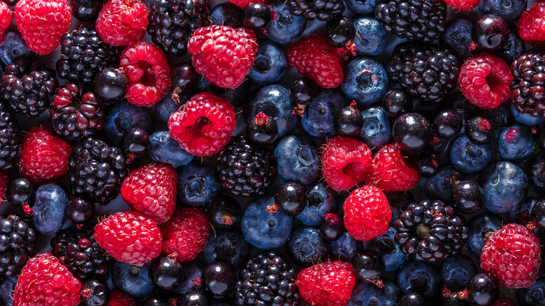 assorted raspberries blackberries blueberries currants