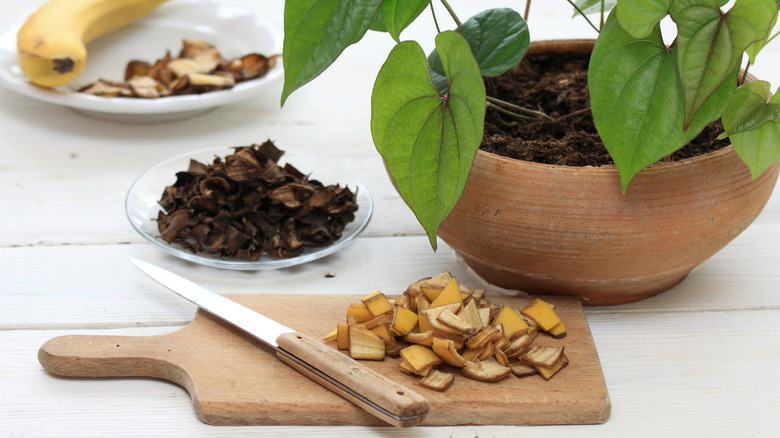 Banana peels on wooden cutting board next to knife and potted plant
