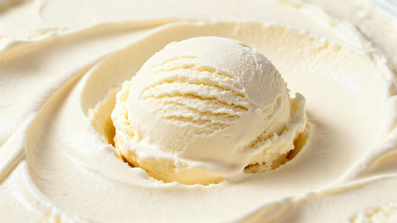 A scoop of vanilla ice cream sits in a puddle of sculpted ice cream