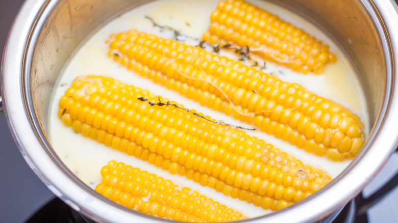 boiling corn in milk 