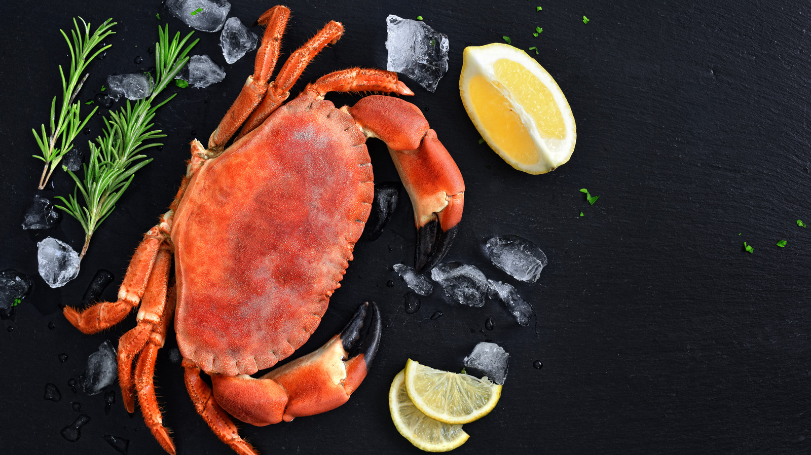 Testing Crab Boil Your Crab With A Splash Of White Wine For A Fruity Flavor Boost
