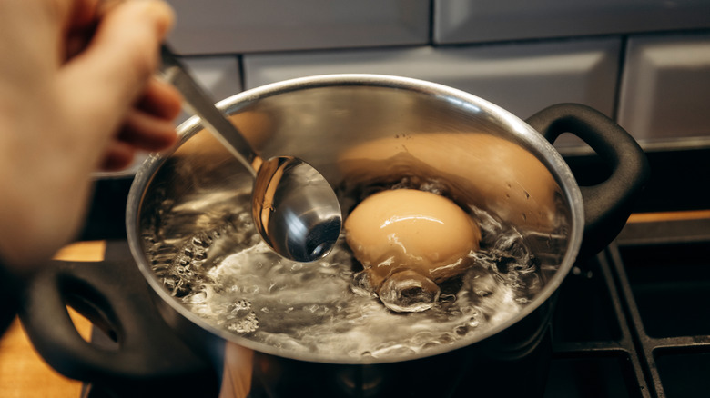 Someone cooking a boiled egg in a pot