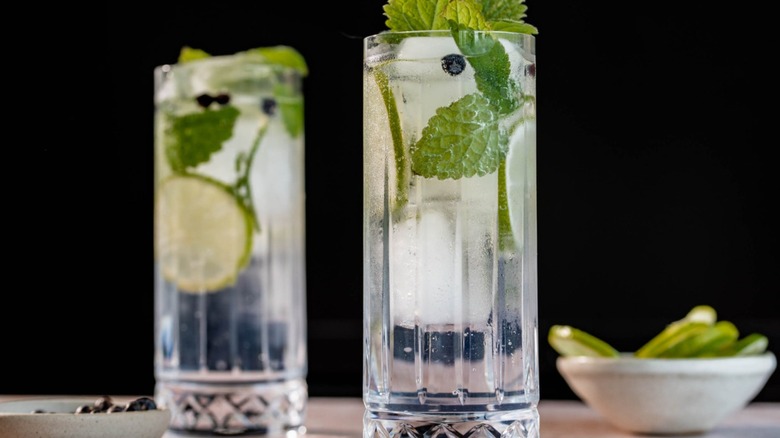 gin and tonics with garnishes