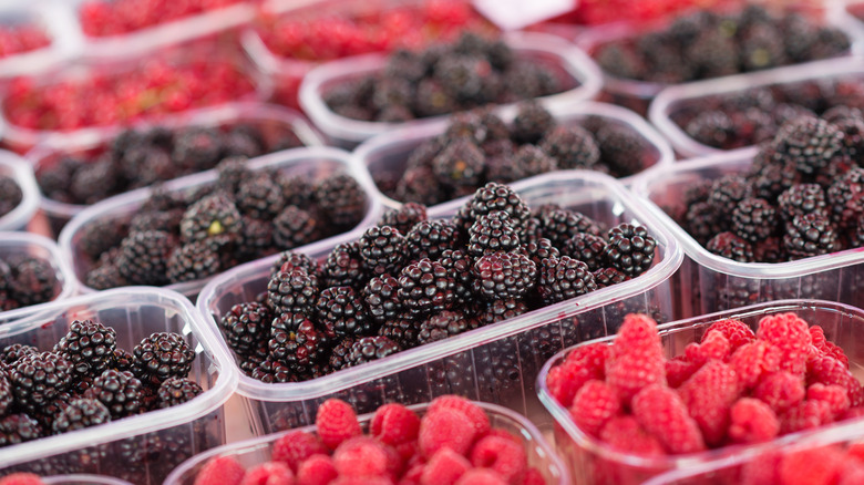 raspberries and blackberries in plastic tubs