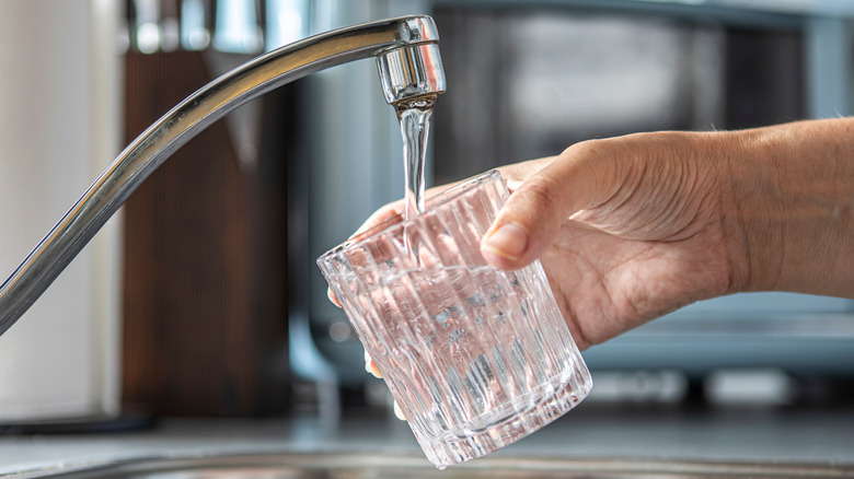 Why Bottled Water Is Not Worth It In 2026