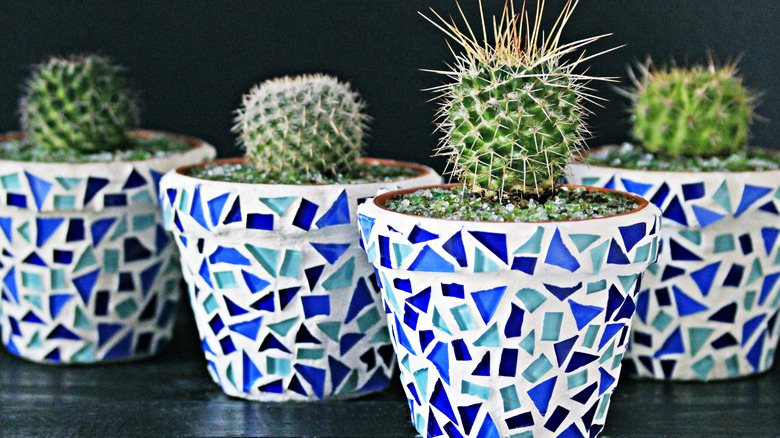 Cacti in mosaic pots