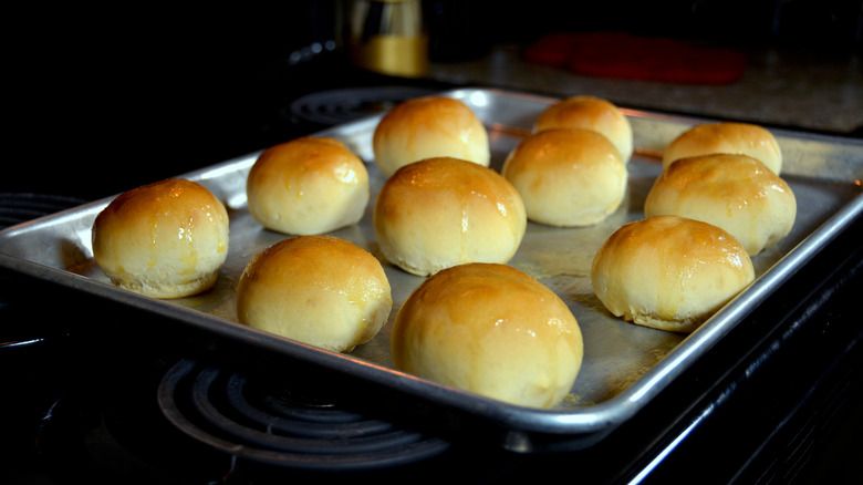 Arrangement of Texas Roadhouse rolls on baking sheet on top of stove.