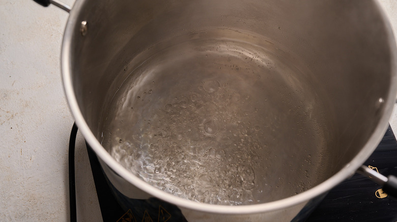 simmering water in a large pot