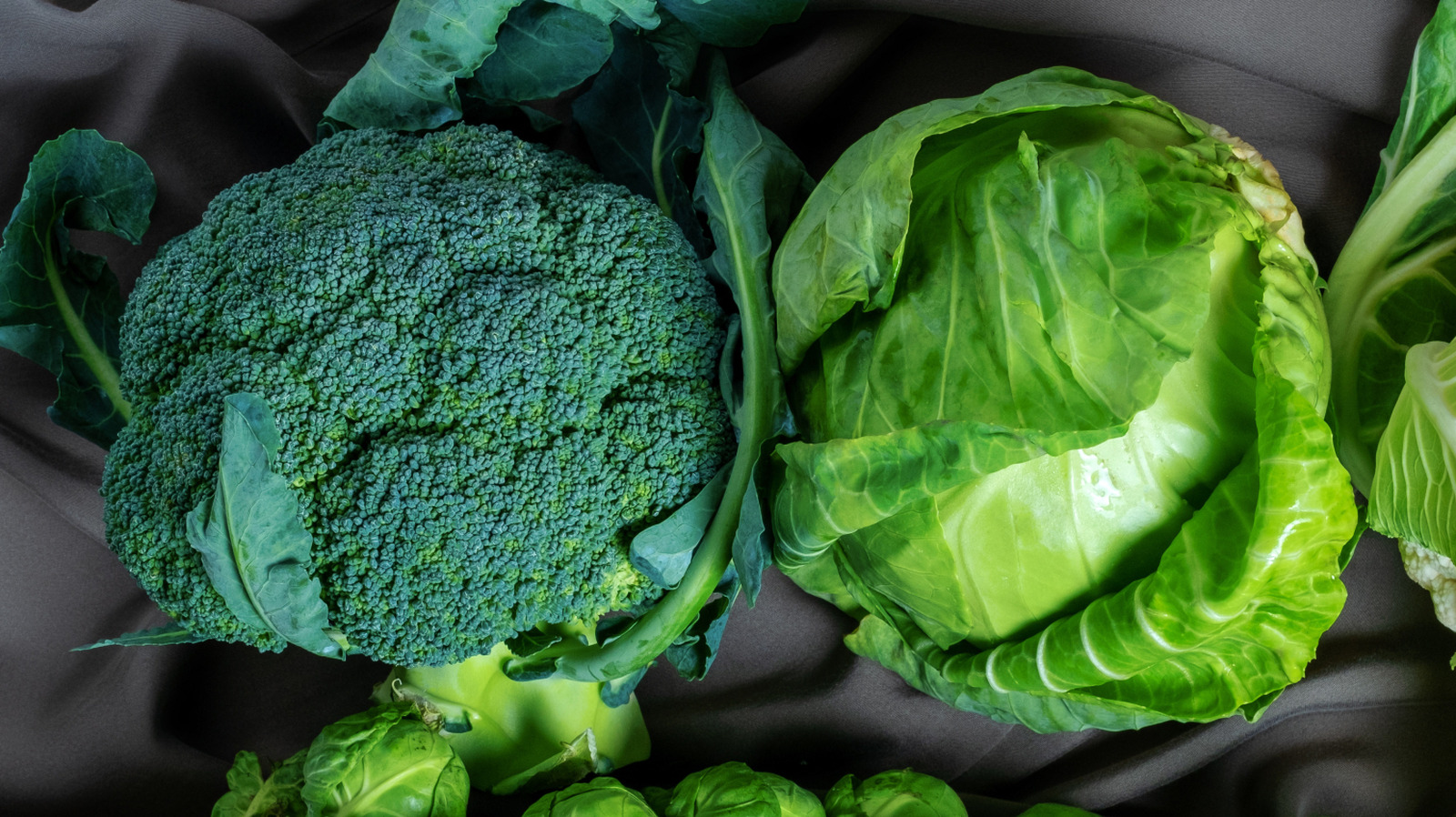 Broccoli Vs Cabbage: Which Offers More Protein? - Tasting Table
