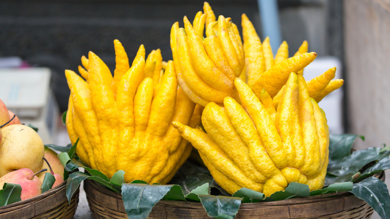 Buddha's hand fruits in a basket