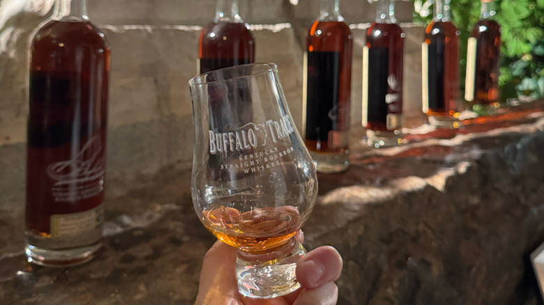 Buffalo Trace Antique Collection 2025 bottles behind glencarin glass with William L. Weller Bourbon