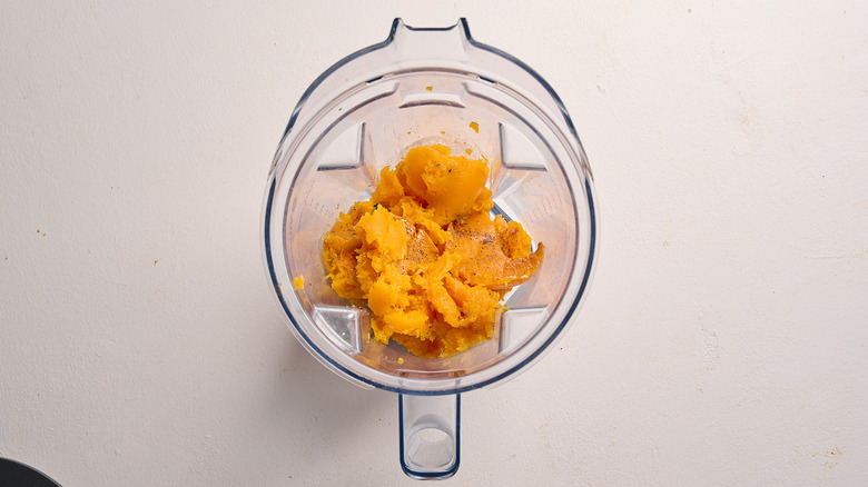 butternut squash in a blender