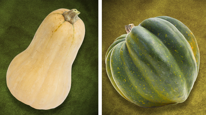 A split image of a butternut squash and an acorn squash