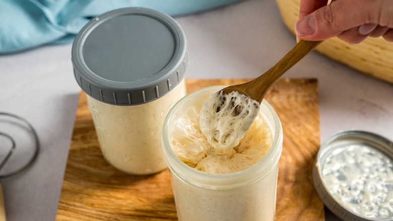 Sourdough starter in a jar with a spoon