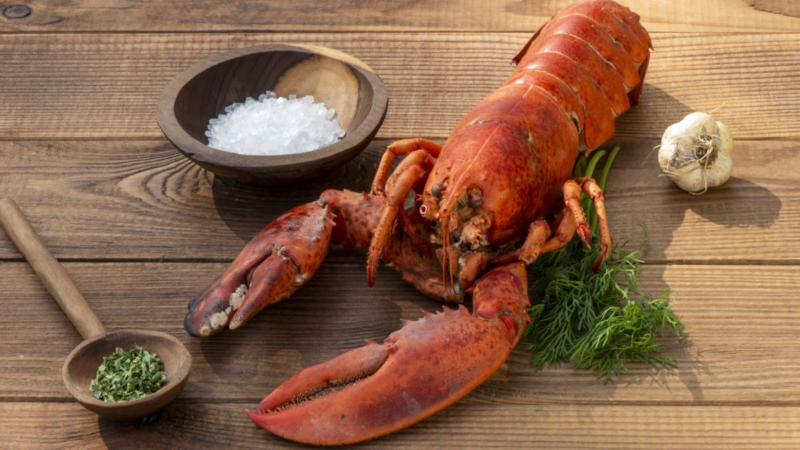 Buying Whole Lobster? Here's How To Tell If It's Worth The Price - Tasting Table