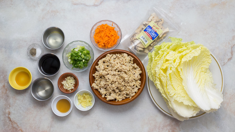 cabbage dumpling ingredients on table